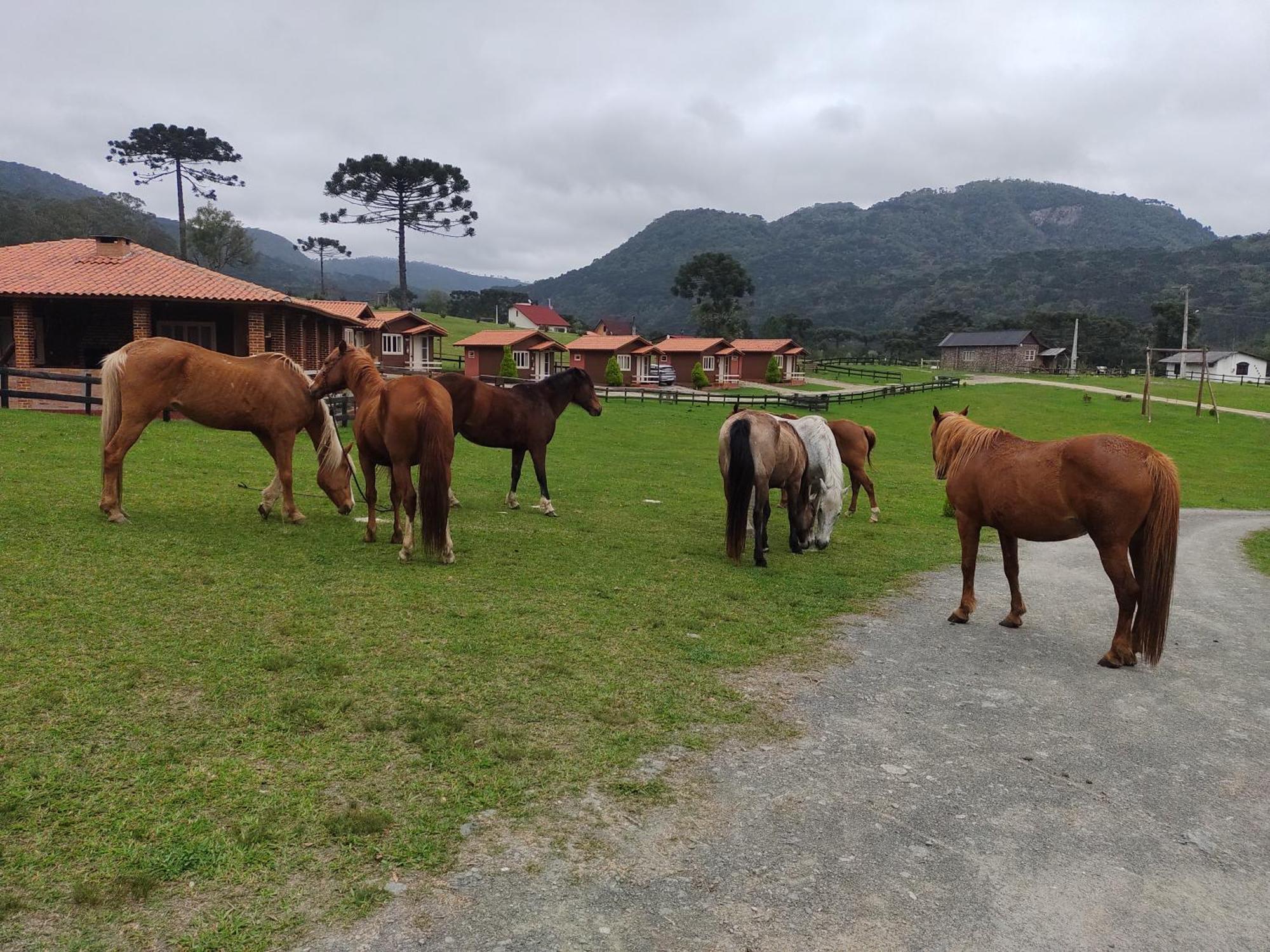 Sitio Rancho Crioulo Ξενοδοχείο Urubici Εξωτερικό φωτογραφία