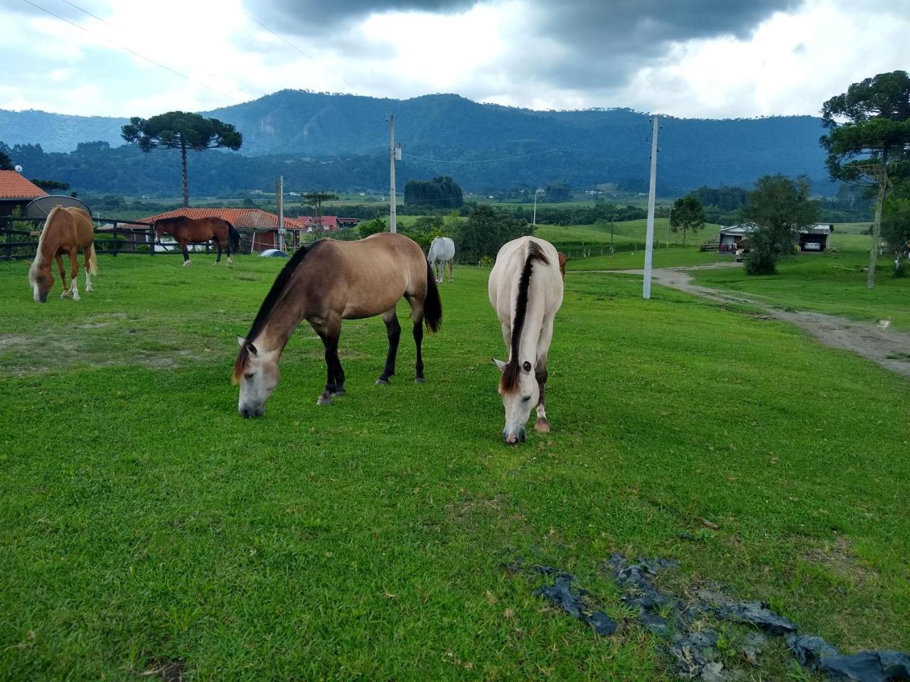 Sitio Rancho Crioulo Ξενοδοχείο Urubici Εξωτερικό φωτογραφία