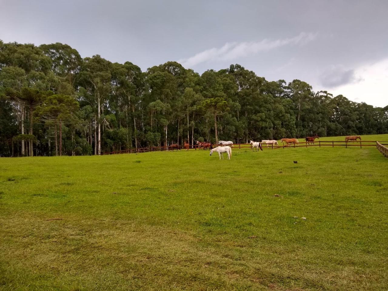 Sitio Rancho Crioulo Ξενοδοχείο Urubici Εξωτερικό φωτογραφία