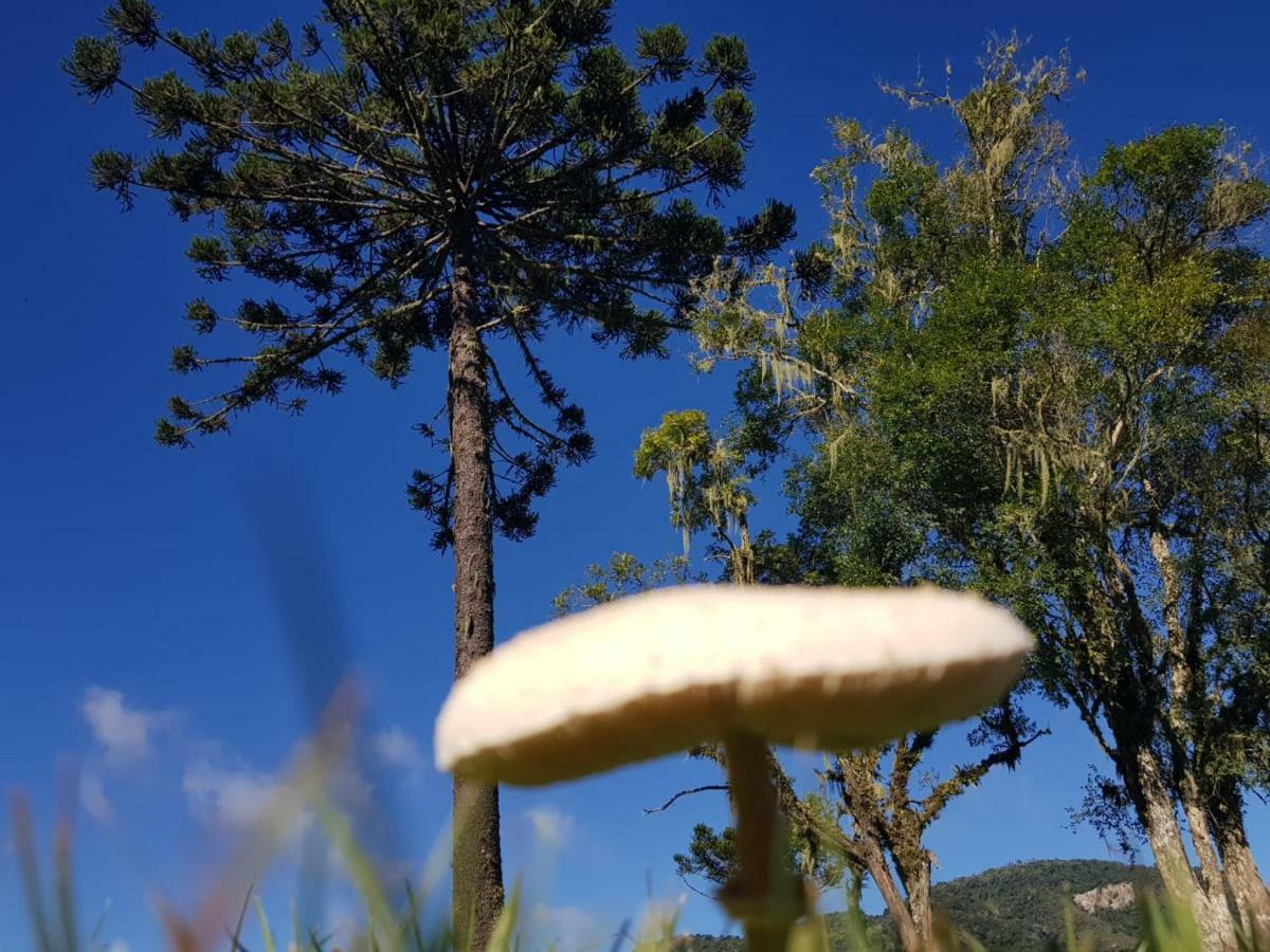 Sitio Rancho Crioulo Ξενοδοχείο Urubici Εξωτερικό φωτογραφία